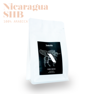 Nicaragua SHG