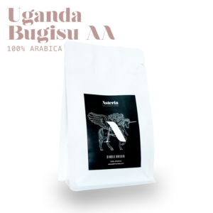 Uganda Bugisu AA